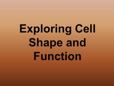 Exploring Cell Shape and Function. The Microscope.