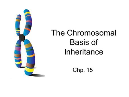 The Chromosomal Basis of Inheritance