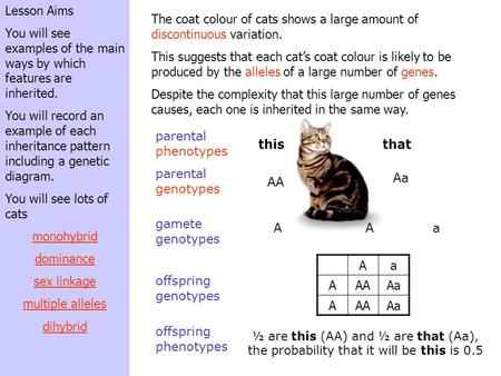 Lesson Aims You will see examples of the main ways by which features are inherited. You will record an example of each inheritance pattern including a.