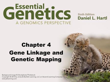 Chapter 4 Gene Linkage and Genetic Mapping