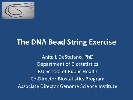 The DNA Bead String Exercise Anita L DeStefano, PhD Department of Biostatistics BU School of Public Health Co-Director Biostatistics Program Associate.