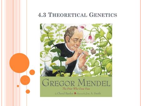 4.3 T HEORETICAL G ENETICS. A SSESSMENT S TATEMENTS Define genotype, phenotype, dominant allele, recessive allele, codominant allele, locus, homozygous,