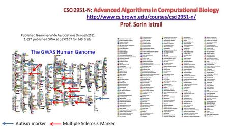 Published Genome-Wide Associations through 2011 1,617 published GWA at p≤5X10 -8 for 249 traits Autism marker Multiple Sclerosis Marker The GWAS Human.