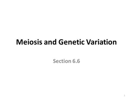 Meiosis and Genetic Variation