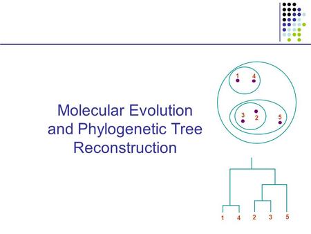 Molecular Evolution and Phylogenetic Tree Reconstruction