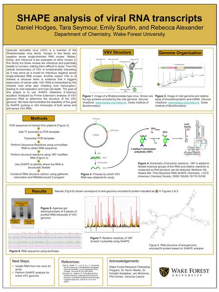 SHAPE analysis of viral RNA transcripts Daniel Hodges, Tara Seymour, Emily Spurlin, and Rebecca Alexander Department of Chemistry, Wake Forest University.