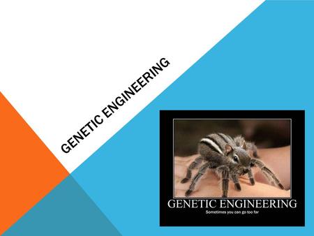 GENETIC ENGINEERING. MANIPULATING GENES… Can we make our food taste better? Can we make humans live longer? Can we make X-men like mutants?!? Let’s start.