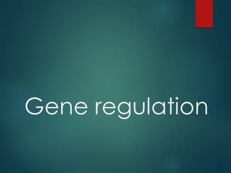 Gene regulation. Gene expression models  Prokaryotes and Eukaryotes employ common and different methods of gene regulation  Prokaryotic models 1. Trp.