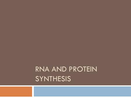 RNA and Protein Synthesis