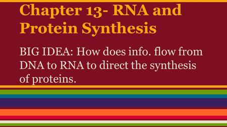 Chapter 13- RNA and Protein Synthesis