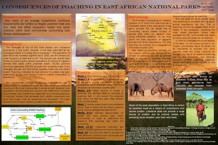 Consequences of Poaching In East African National Parks Research Question How much of an average household’s nutritional requirements are fulfilled by.