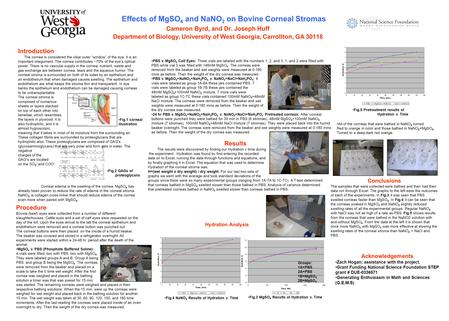 Effects of MgSO 4 and NaNO 2 on Bovine Corneal Stromas Cameron Byrd, and Dr. Joseph Huff Department of Biology, University of West Georgia, Carrollton,