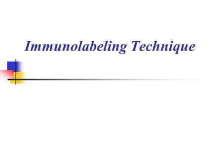 Immunolabeling Technique