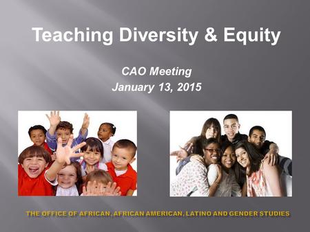 Teaching Diversity & Equity CAO Meeting January 13, 2015.