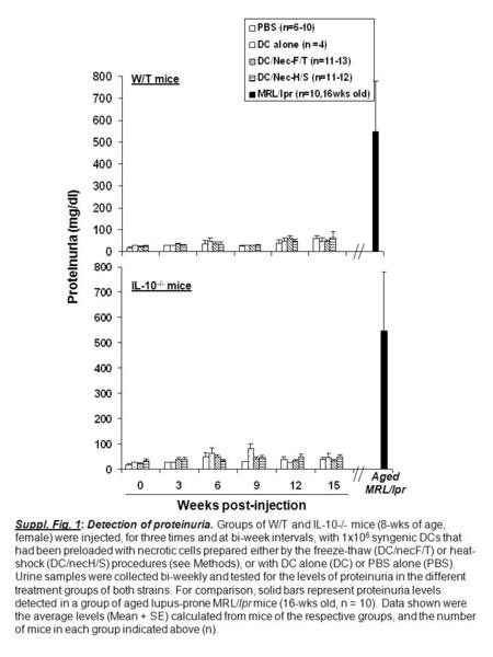 W/T mice IL-10 -/- mice Aged MRL/lpr Weeks post-injection Proteinuria (mg/dl) Suppl. Fig. 1: Detection of proteinuria. Groups of W/T and IL-10-/- mice.