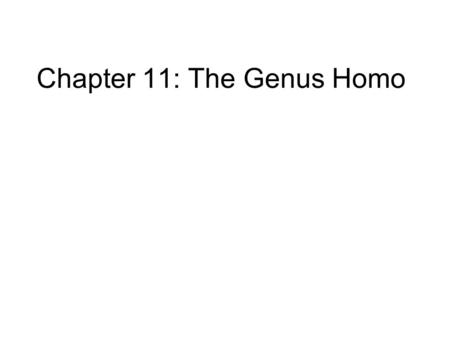 Chapter 11: The Genus Homo. Brain size was about 750cc Homo habilus: “handy man”, Around 2 mya (1.6-2.3), Primary finds at Olduvai Gorge and Lake Turkana.