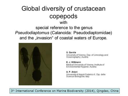 Global diversity of crustacean copepods with special reference to the genus Pseudodiaptomus (Calanoida: Pseudodiaptomidae) and the „invasion“ of coastal.