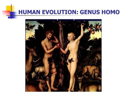 HUMAN EVOLUTION: GENUS HOMO