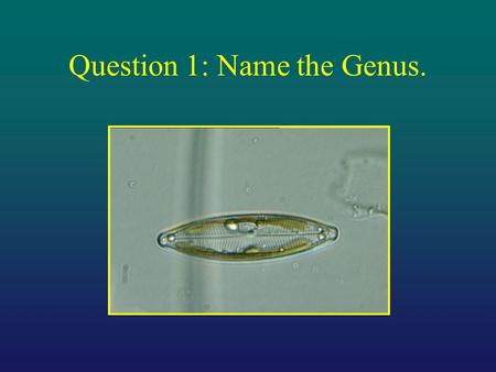 Question 1: Name the Genus.. Question 2: Name the Genus.