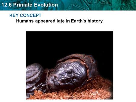 KEY CONCEPT  Humans appeared late in Earth’s history.