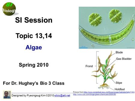 Designed by Pyeongsug Kim ©2010 SI Session Topic 13,14 Algae Spring 2010 For Dr. Hughey’s Bio 3 Class Picture from