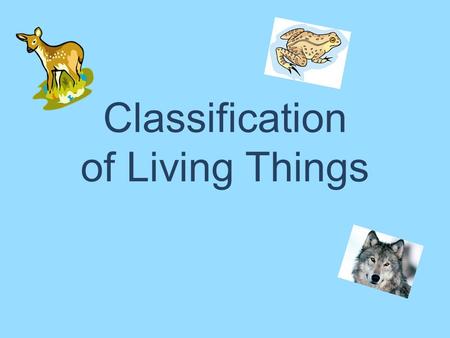 Classification of Living Things