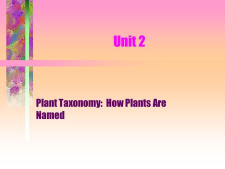 Plant Taxonomy: How Plants Are Named