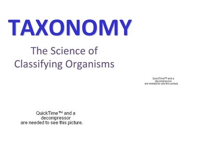 TAXONOMY The Science of Classifying Organisms. Why do we need to classify? Imagine a store…..how do you know where to find the milk or the cereal? Are.