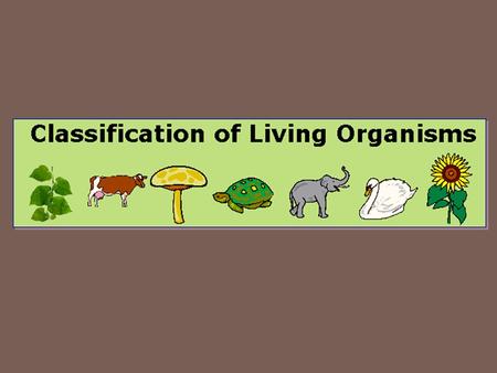 Taxonomy In Biology, scientists group organisms into categories. Each larger category is then broken down into smaller categories. Taxonomy is the study.