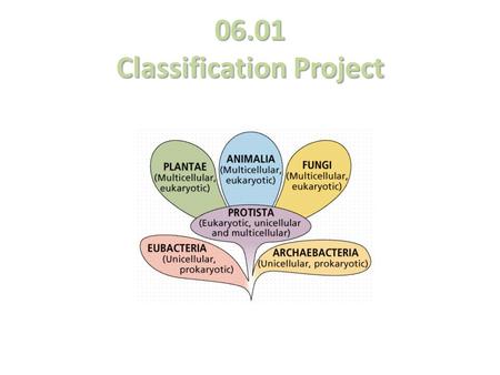 06.01 Classification Project