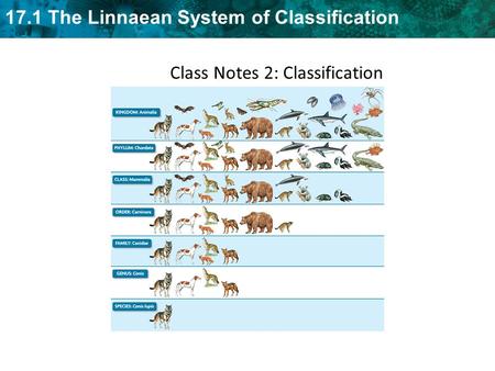 Class Notes 2: Classification