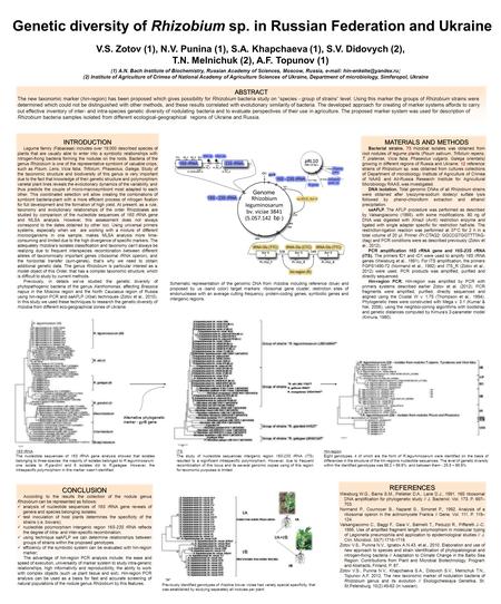 Genetic diversity of Rhizobium sp. in Russian Federation and Ukraine V.S. Zotov (1), N.V. Punina (1), S.A. Khapchaeva (1), S.V. Didovych (2), T.N. Melnichuk.