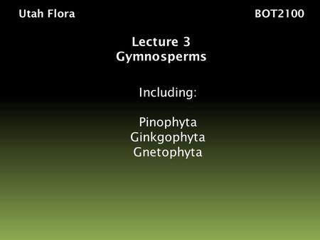 Utah Flora BOT2100 Lecture 3 Gymnosperms Including: Pinophyta Ginkgophyta Gnetophyta.