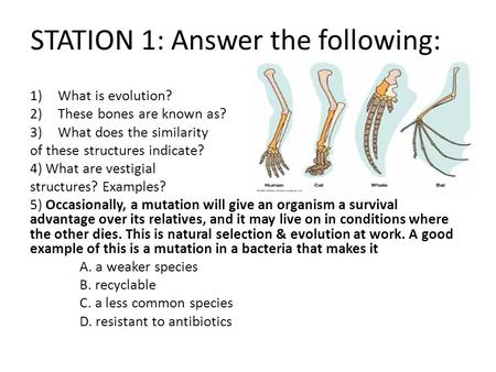 STATION 1: Answer the following: