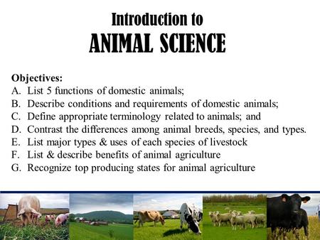 Introduction to ANIMAL SCIENCE