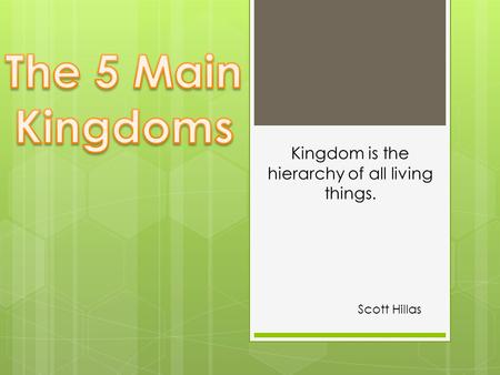 Scott Hillas Kingdom is the hierarchy of all living things.