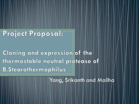 Yang, Srikanth and Maliha. Genus - Bacillus or Geobacillus Species - strearothermophilus Gram +ve, Spore Forming Grow in a temperature range of 45-75.