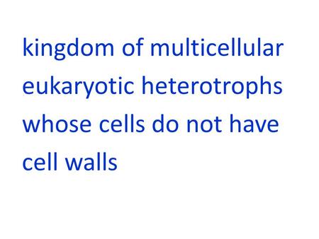 ANIMALIA. kingdom of multicellular eukaryotic heterotrophs whose cells do not have cell walls.