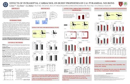 EFFECTS OF INTRASEPTAL CARBACHOL ON BURST PROPERTIES OF CA1 PYRAMIDAL NEURONS S. Sava 1,2 *, G.J. Peters 1,3, E.J. Markus 1 1 Psych. Dept., Univ of Conn.,