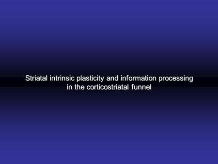 Striatal intrinsic plasticity and information processing in the corticostriatal funnel.