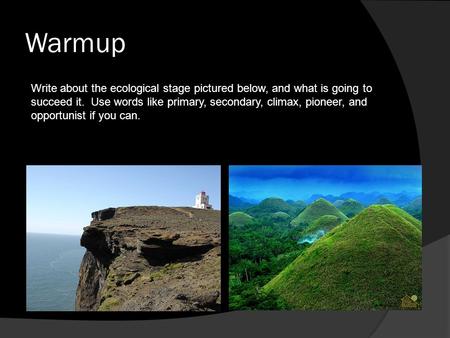 Warmup Write about the ecological stage pictured below, and what is going to succeed it. Use words like primary, secondary, climax, pioneer, and opportunist.