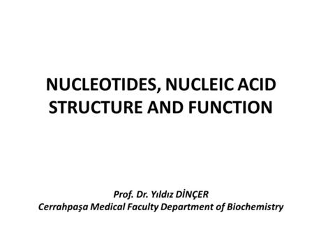 NUCLEOTIDES, NUCLEIC ACID STRUCTURE AND FUNCTION Prof. Dr. Yıldız DİNÇER Cerrahpaşa Medical Faculty Department of Biochemistry.