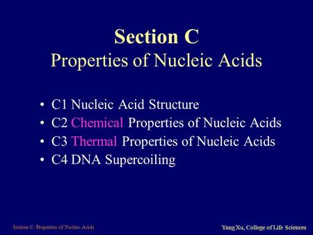 Section C Properties of Nucleic Acids