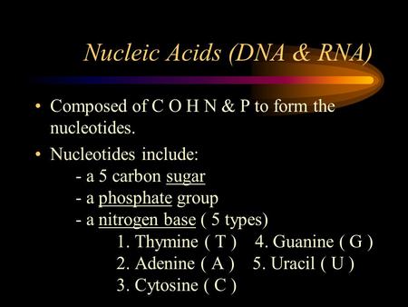 Nucleic Acids (DNA & RNA)