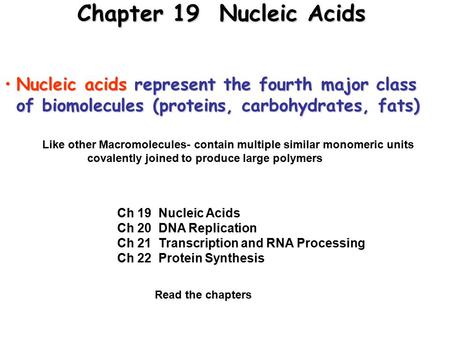 Chapter 19 Nucleic Acids Nucleic acids represent the fourth major class of biomolecules (proteins, carbohydrates, fats)Nucleic acids represent the fourth.