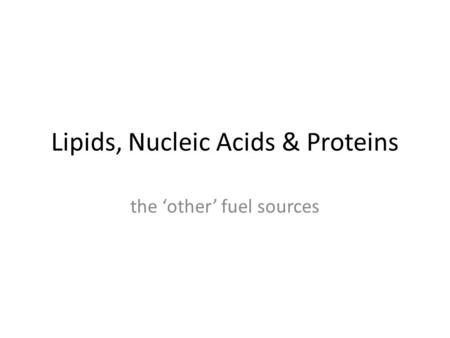 Lipids, Nucleic Acids & Proteins the ‘other’ fuel sources.