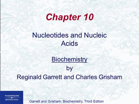 Chapter 10 Nucleotides and Nucleic Acids Biochemistry by