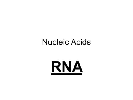 Nucleic Acids RNA. What are RNA? Nucleic acid polymer of nucleotide monomers Plays role in translation of genetic information from DNA to protein products.