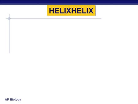 AP Biology HELIXHELIX AP Biology 2006-2007 Nucleic Acids Information storage.