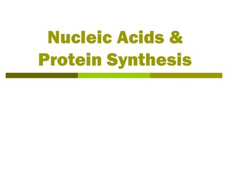 Nucleic Acids & Protein Synthesis